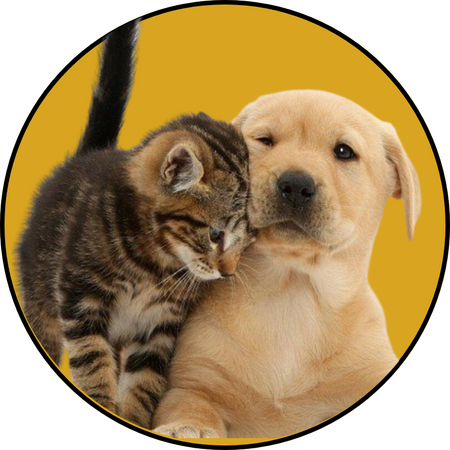 Pets